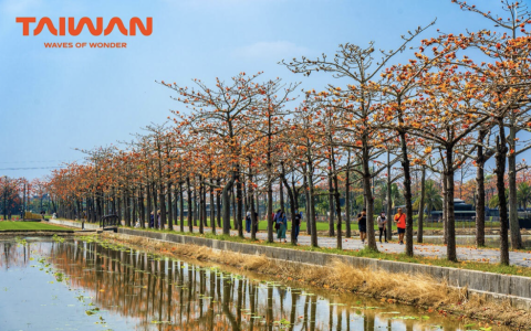 Bản hoà ca mùa xuân của muôn hoa xứ Đài